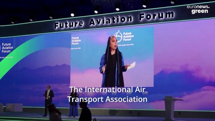 Aviation’s climate ‘unicorns’ never show up, says charity calling for frequent flyer tax