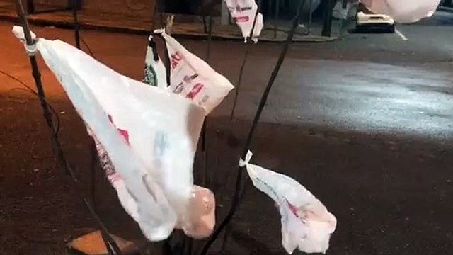 Populares sinalizam buraco na Rua Paraná com galhos e sacolas