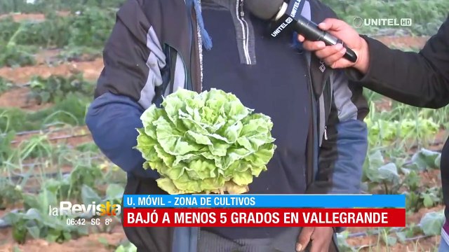 Se registra heladas en los Valles cruceños; los productores buscan salvar sus productos