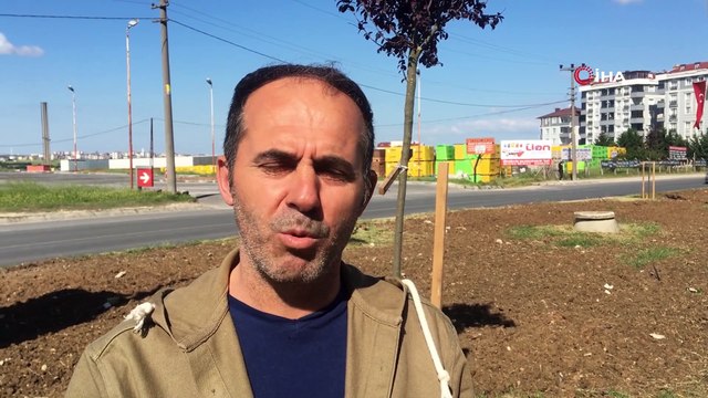 Bu ilk katliam da değilmiş! Yüzlerce ağacı söken CHP’li belediyenin bahanesi şoke etti… “Minareyi çalmış ama kılıfı bile hazırlayamamışlar”