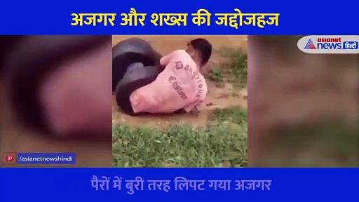 विशालकाय अजगर की कैद में पहुंच गया शख्स, फिर कैमरे में कैद हुई चौकाने वाली फाइट, देखें वीडियो