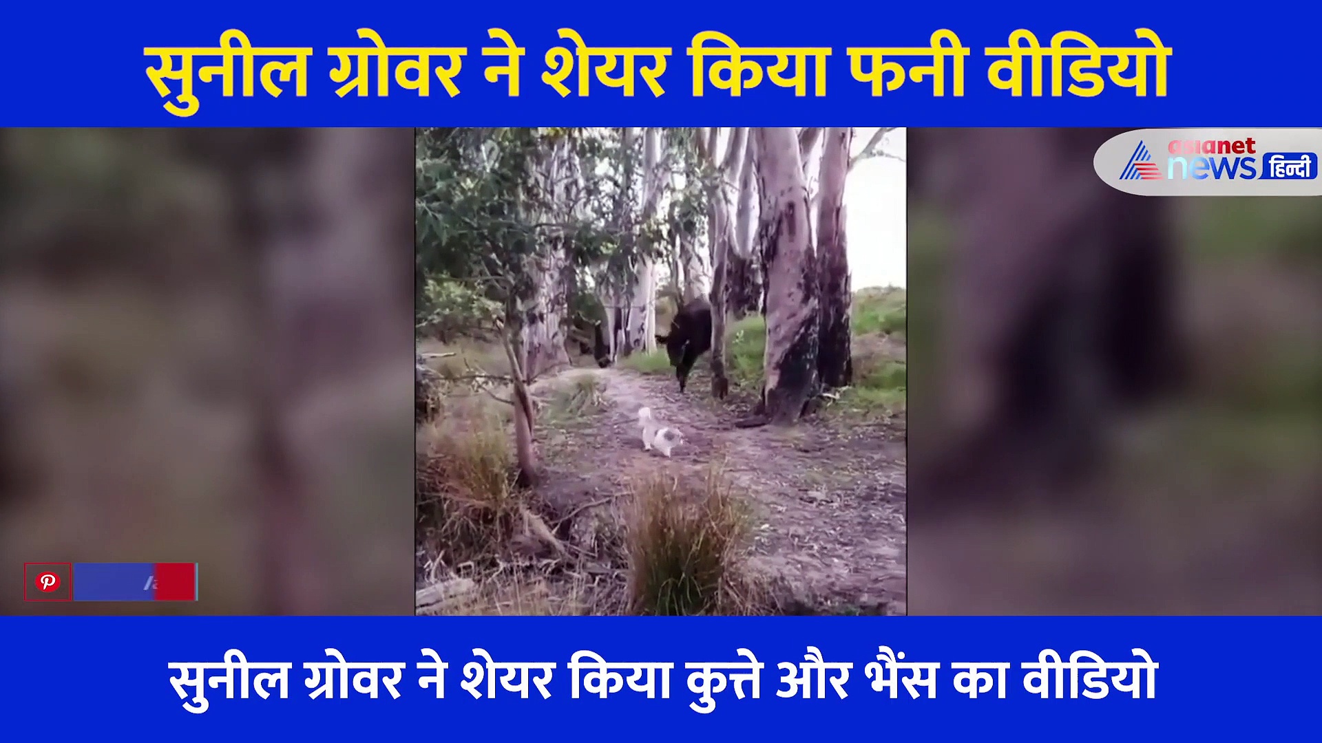 कुत्ते के बच्चे का कॉन्फिडेंस को देख जंगल की ओर भागी भैंस, सुनील ग्रोवर ने शेयर किया फनी वीडियो