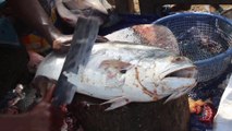 Amazing  Fish Cutting Skills | Huge Pomfret Fish Cutting Live In Fish Market | TONA Fish