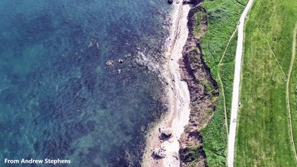 Whitburn and Seaburn beaches as seen from above