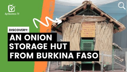 An onion storage hut from Burkina Faso