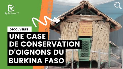 Une case de conservation d’oignons du Burkina Faso