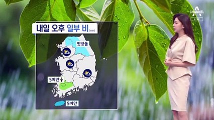[날씨]오늘 밤 수도권 비…내일도 낮 더위
