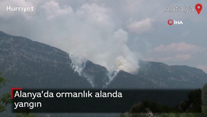 Alanya'da ormanlık alanda yangın