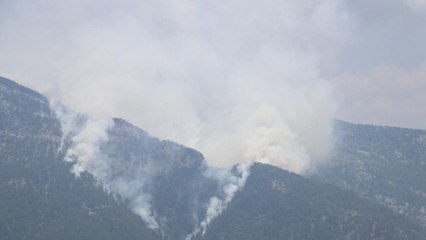 Alanya’da orman yangını