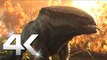 GREEDFALL 2 : Bande Annonce Officielle 4K