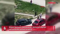 Köpek besleyen hayvanseveri darbeden şüpheli adli kontrolle serbest bırakıldı