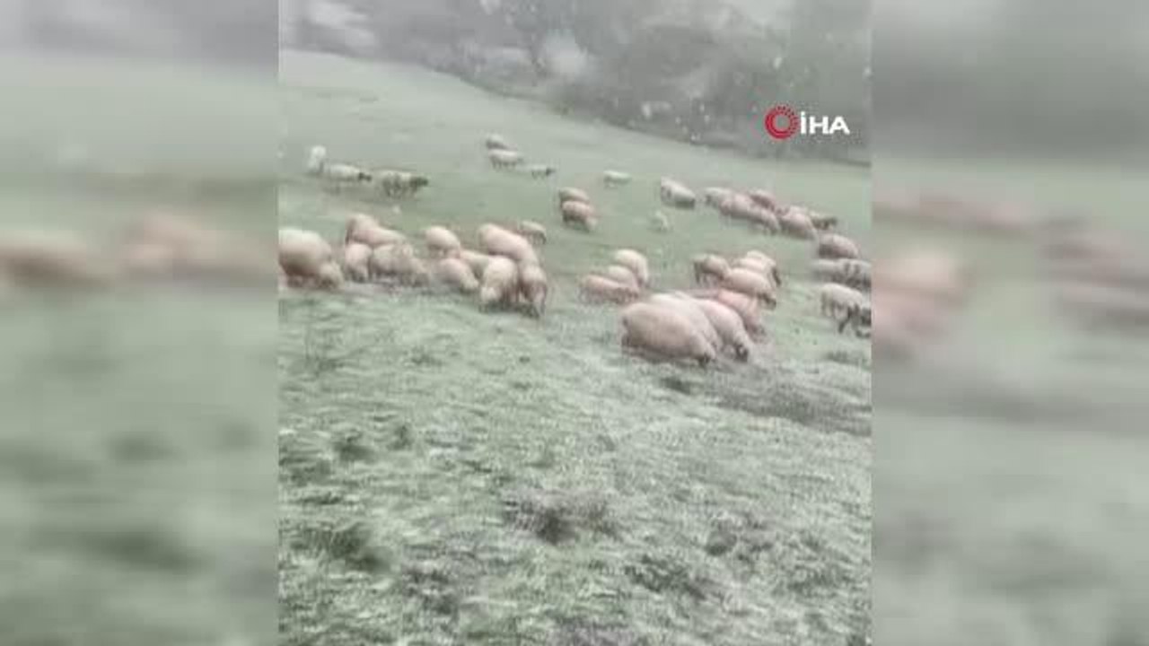 Tokat'ta 19 Mayıs'ta yüksek kesimlere yağan kar görenleri şaşırttı