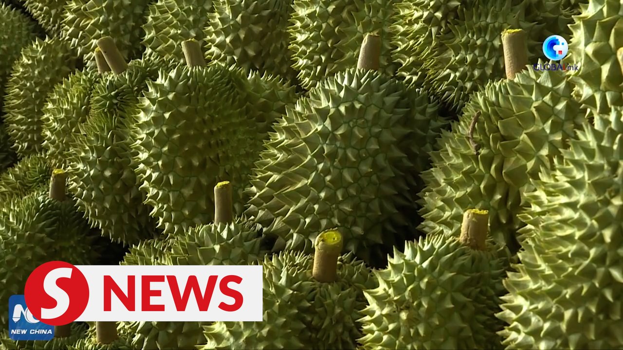 Thai farmers geared up for China's growing appetite for durians