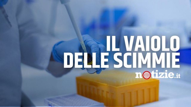 Vaiolo delle scimmie, primo caso in Italia: è un uomo tornato dalle Canarie