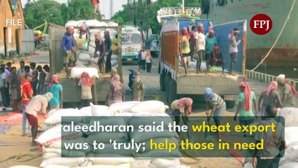 India defends wheat export ban at UN, Jabs the West over 'hoarding'