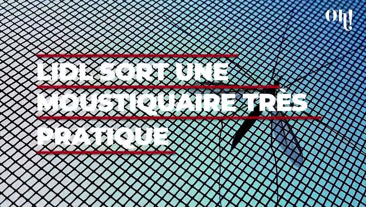 LIDL : protégez-vous des insectes avec cette moustiquaire facile à installer et vendue à petit prix !