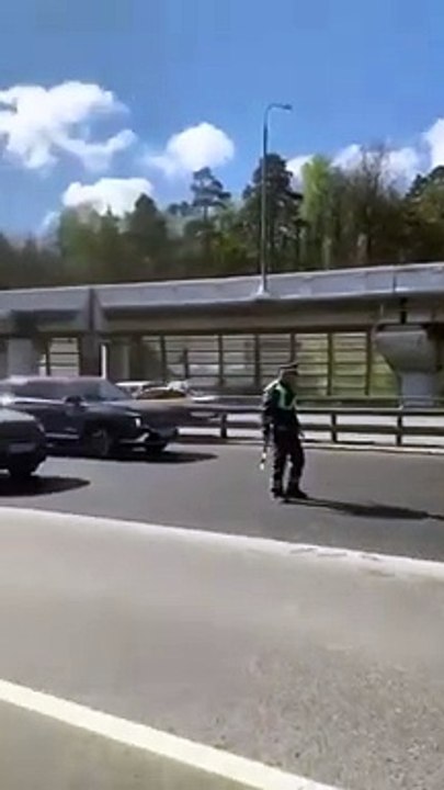 Des policiers bloque le traffic sur une autoroute pour laisser passer une famille de canards