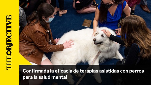 Confirmada la eficacia de terapias asistidas con perros para la salud mental