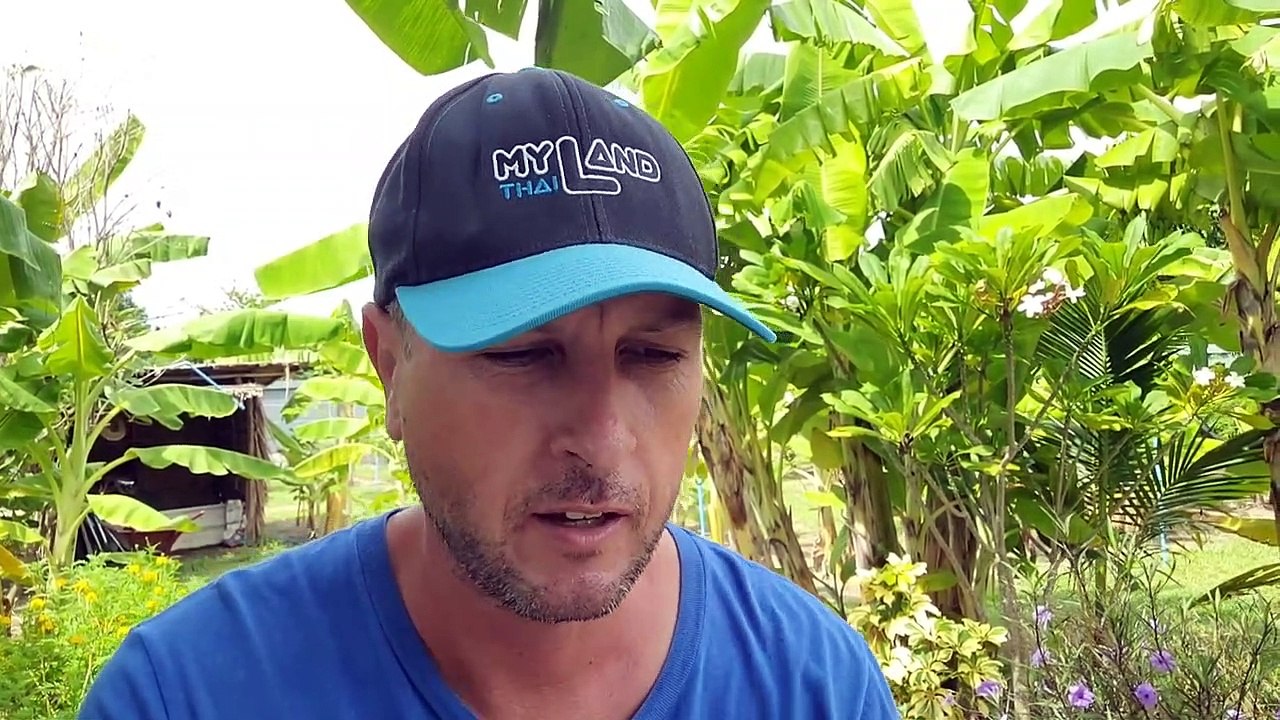 Wie wichtig ist es einen eigenen Garten zu haben!