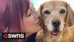 Woman quits her job so she can spend time with her terminally ill dog complete a bucket list