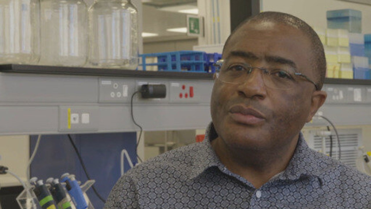 Neue Freiheiten in Südafrika