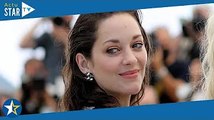 Festival de Cannes 2022 : Virginie Efira, Marion Cotillard et Kristen Stewart... Un casting de rêve