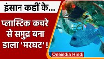 Pollution: Plastic Pollution से Ocean कैसे बनता जा रहा जीवों का मरघट ? | वनइंडिया हिंदी