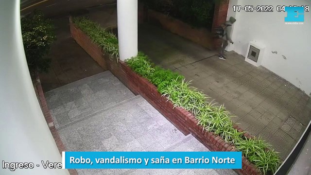 Robo, vandalismo y saña en Barrio Norte