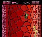 Battletoads online multiplayer - nes