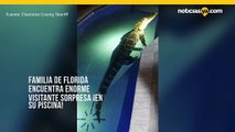 Familia de Florida encuentra enorme visitante sorpresa ¡en su piscina!