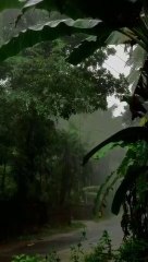 Rain Music for Whatsapp Status with Thunderstorm 2022