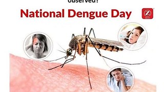 Ziqitza Rajasthan - Why is National Dengue Day observed