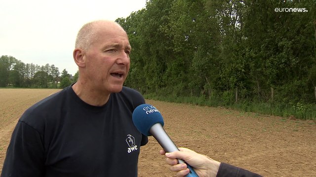 Belgian farmers struggle as drought and rising costs hit