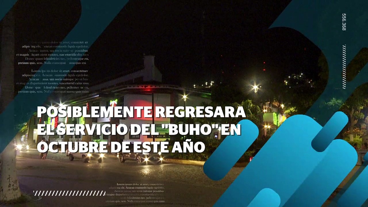 En octubre podría regresar el servicio del Búho en Vallarta | CPS Noticias Puerto Vallarta