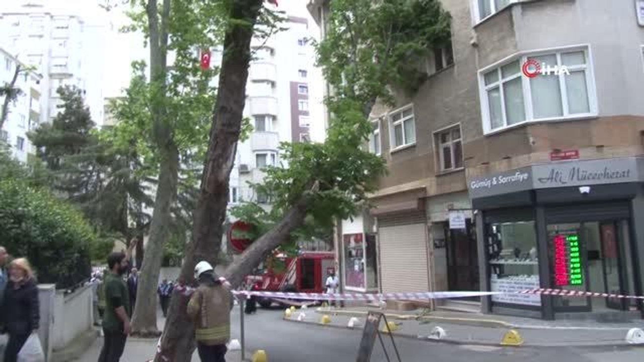 Kadıköy'de şiddetli rüzgara dayanamayan ağaç binanın üstüne devrildi