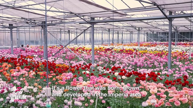 Giro d'Italia 2022 | Stage 13 | Giro Express