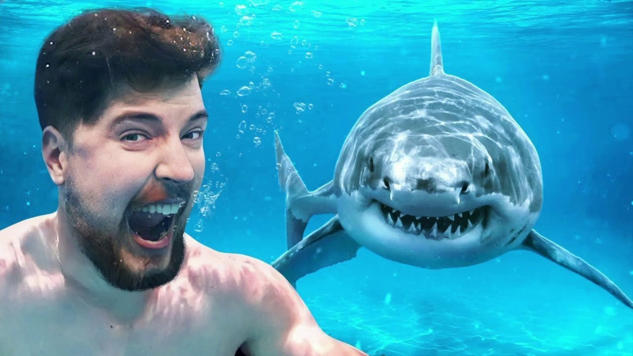 ¿Nadarías con Tiburones por $100000