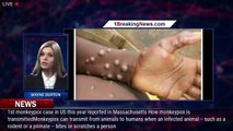 What is monkeypox? What to know about virus, symptoms, spread as US confirms 1st 2022 case - 1breaki