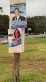Vandalised Dr Sophie Scamps posters | May 2022 | Northern Beaches Review