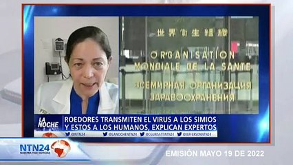 ¿Por qué la viruela del mono alerta a la Organización Mundial de la Salud?