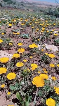 Ait bou Ali tidili massfioua Marrakech Maroc