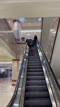 Bio the Giant Cane Corso Dog Doesn't Like Escalators