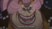 One Piece - Zorro Cut Kaido