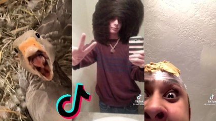 Funny TikToks to watch if you can't sleep (4)