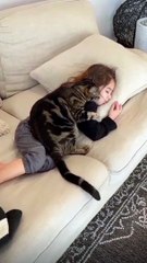 القطه مش راضيه تبعد عنها  | You don't want to get away from her