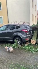 Aftermath of Paderborn Tornado