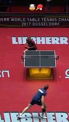 These guys know how to put on a show 