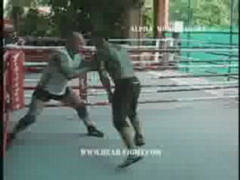 Bear Essential Combat Intro to Mixed Martial Arts Training