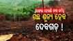 Deforestation fear looms large over reserve forest in Odisha's Deogarh