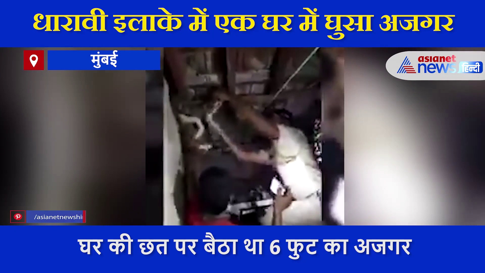 घर पर  छिपा था ये खतरनाक जानवर, कॉन्स्टेबल ने दिखाई बहादुरी,   मुंबई पुलिस ने शेयर किया VIDEO